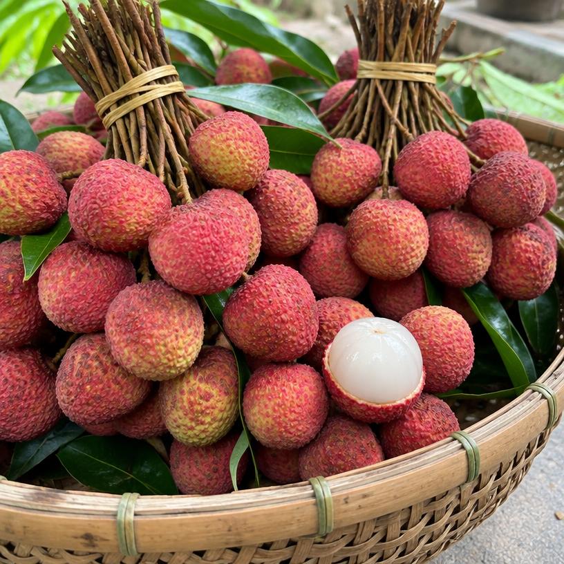 Lychee
