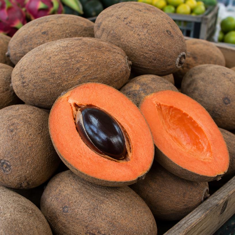 Mamey sapote