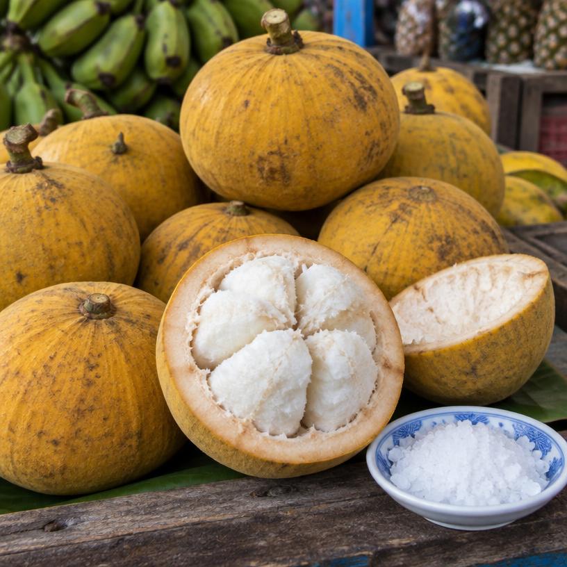Santol